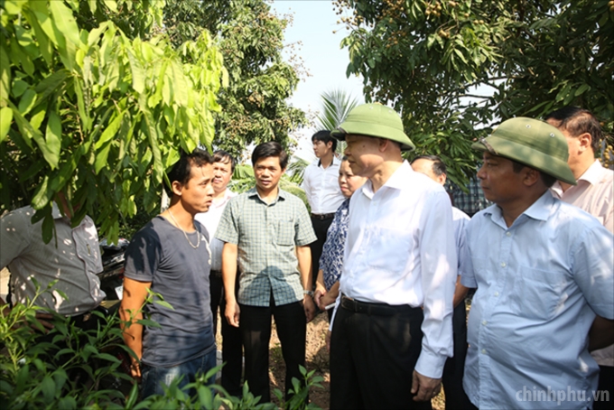 Anh Quý bày tỏ ủng hộ chính sách cho phép chuyển đổi từ trồng lúa sang trồng cây khác trên đất lúa của Nhà nước. Ảnh: VGP/Thành Chung