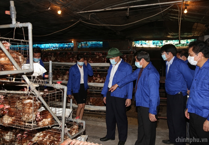 Phó Thủ tướng thăm trại gà Tám Lợi ở thành phố Hải Dương. Ảnh: VGP/Thành Chung